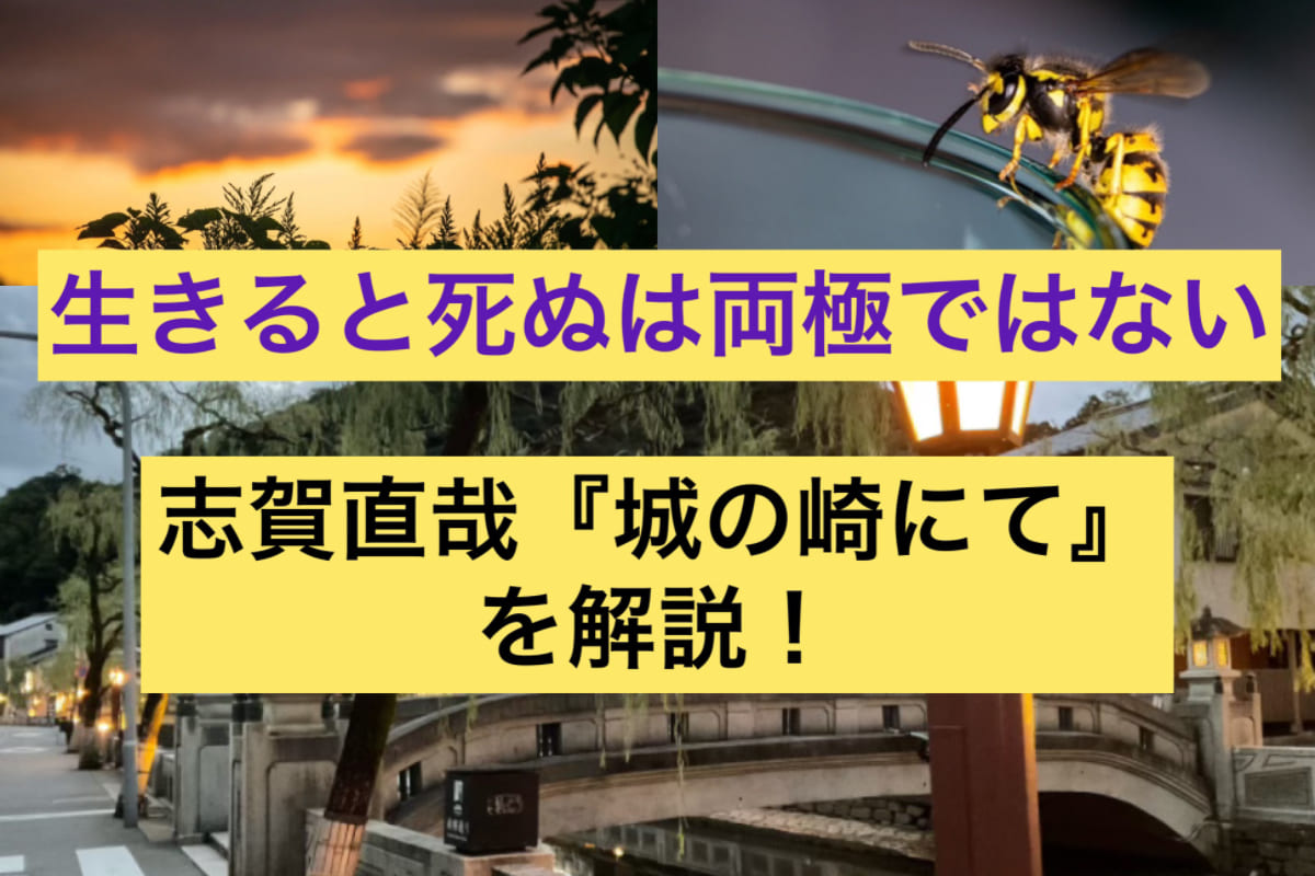 生きると死ぬは両極ではない。志賀直哉『城の崎にて』を解説！正直な感情の死生観