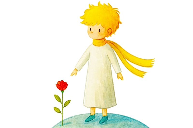 星の王子さま|バラと王子の関係から学ぶ愛について【名言考察】 - のみやすい読書