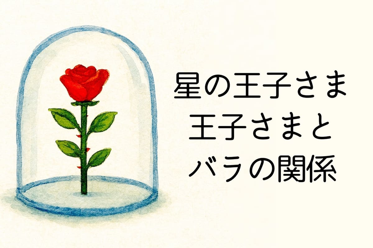 星の王子さま|バラと王子の関係から学ぶ愛について【名言考察】 - のみやすい読書