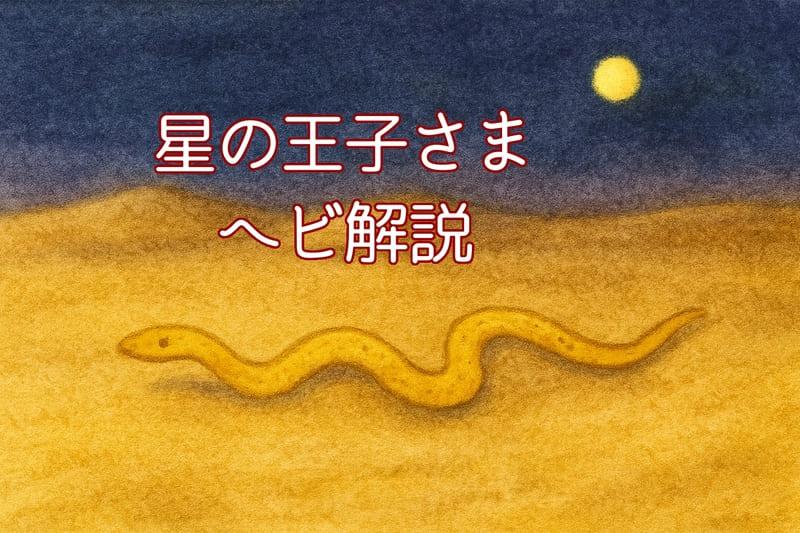星の王子さま｜ヘビに噛まれる意味は？名言も考察