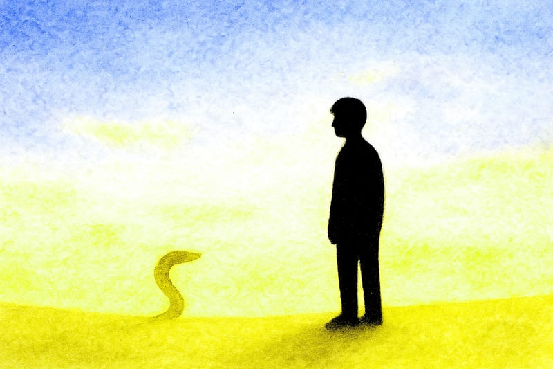砂漠に一人で立つ人と、それを見るヘビ