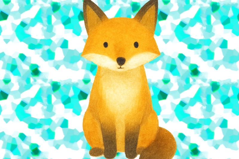 正面からのキツネ