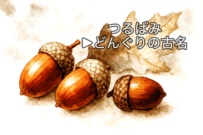 橡=どんぐりの古い名