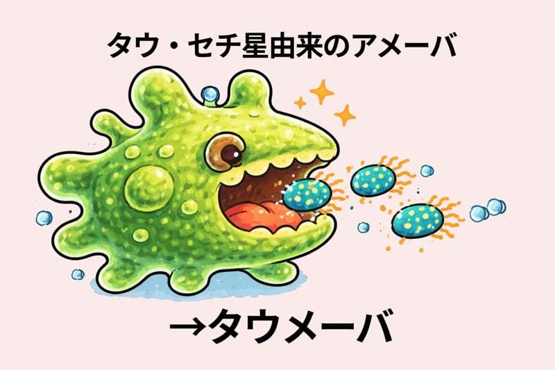 タウメーバイメージイラスト。
タウ・セチ星由来のアメーバ＝タウメーバ