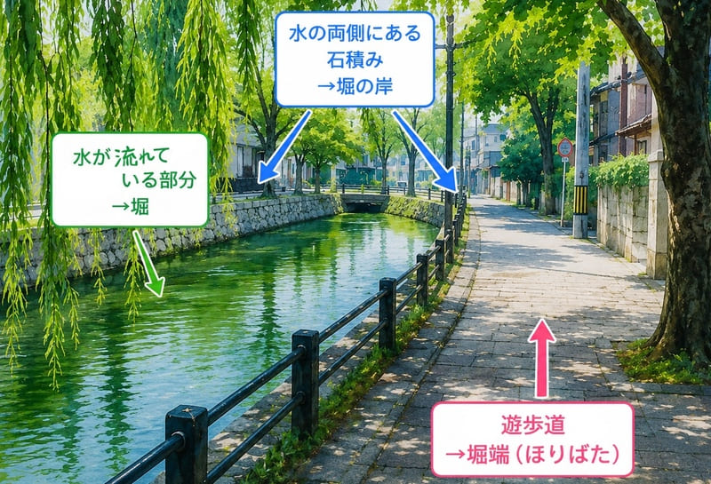 城下町の堀と堀端の違いを解説した図。水路部分が堀、石積みが堀の岸、遊歩道が堀端（ほりばた）であることを示している。