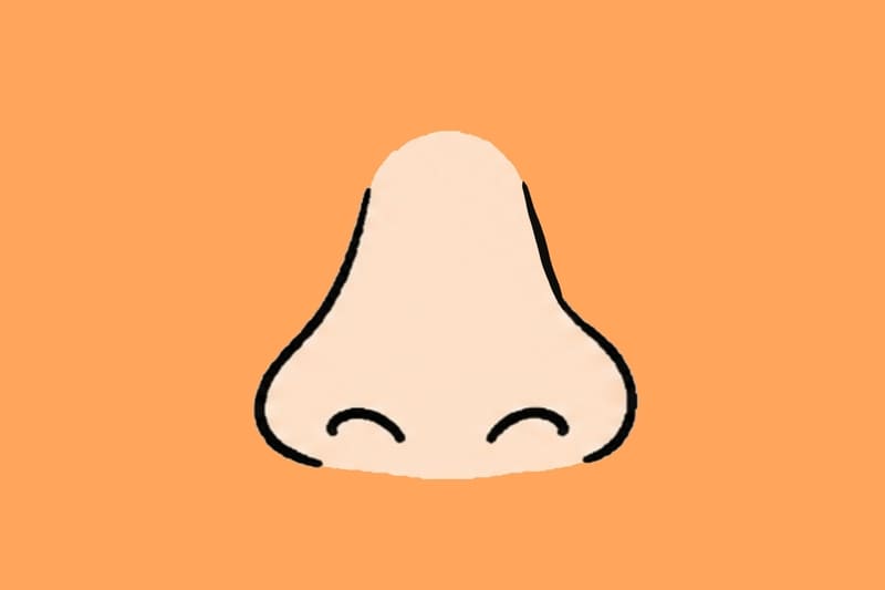 鼻