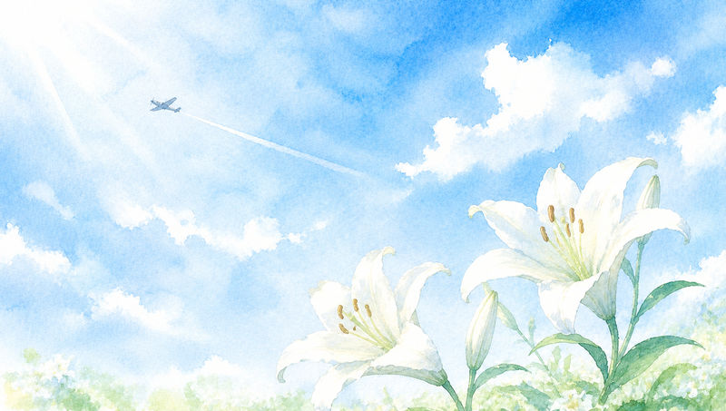 白い百合と青空と飛行機