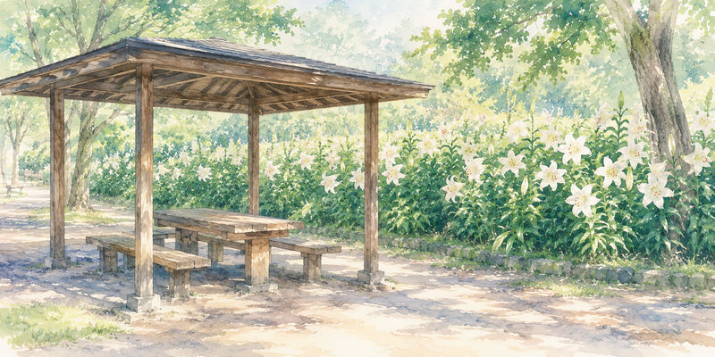 百合ヶ丘公園