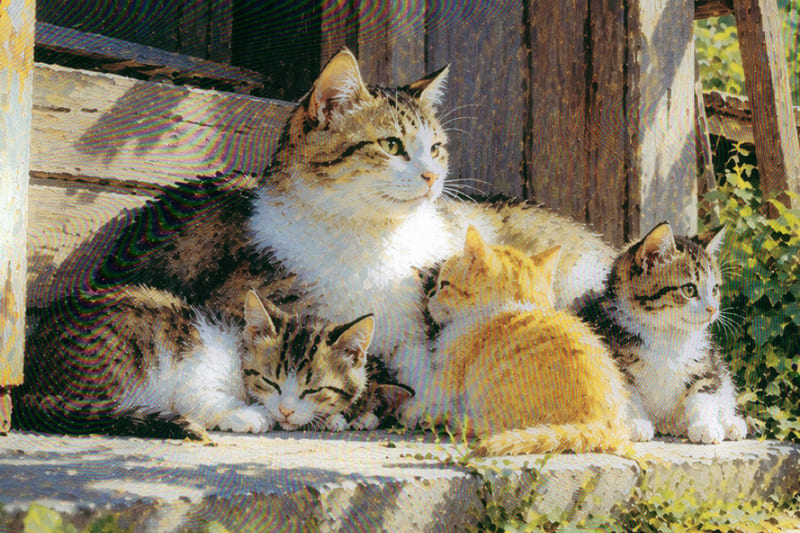 母親猫と子猫数匹